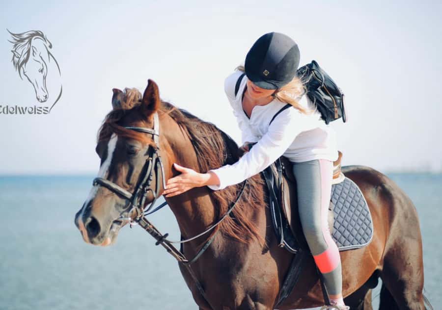Sharm El Shiekh: Beach and City Desert Horse Riding Tour - Photographer Option: Great Shots, Just Handle the Decision Early