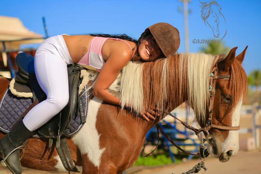 Sharm El Shiekh: Beach and City Desert Horse Riding Tour - Horse Care and Safety: What You Should Expect From Edelweiss