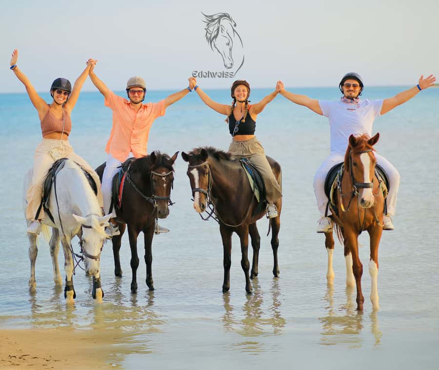 Sharm El Shiekh: Beach and City Desert Horse Riding Tour - The Red Sea Beach Moment: Getting Wet Without Losing the Plot